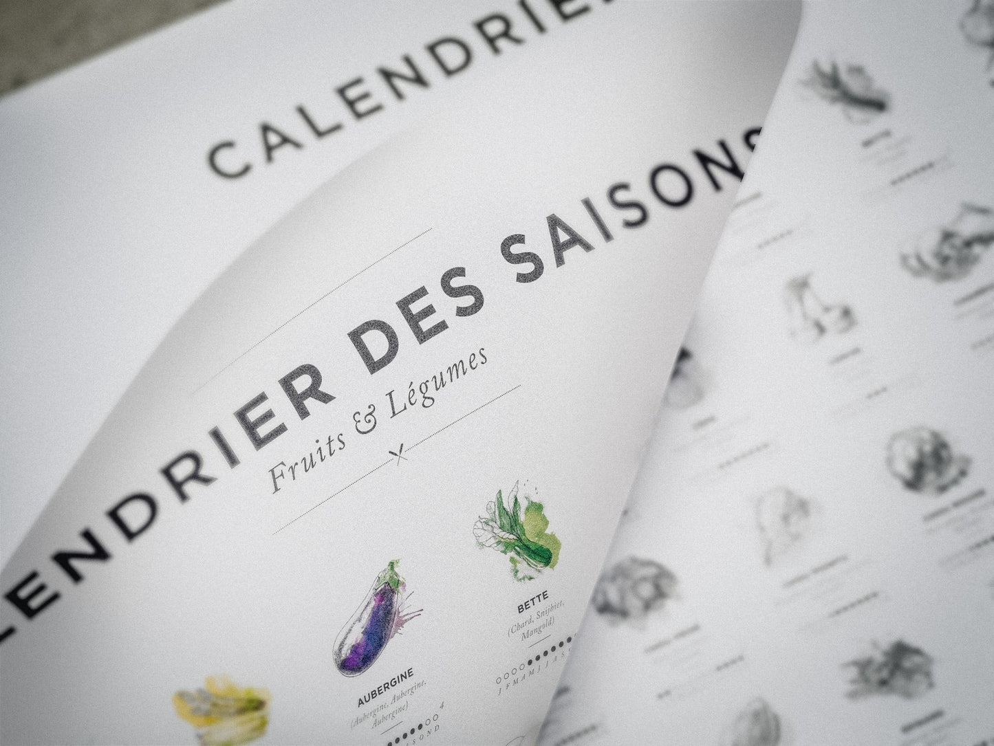 Affiches - Calendrier de saison