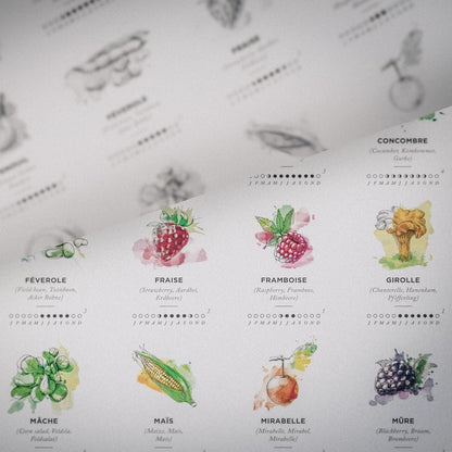 Affiche des saisons - A2