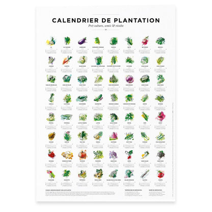 Affiche calendrier plantation 30x40cm