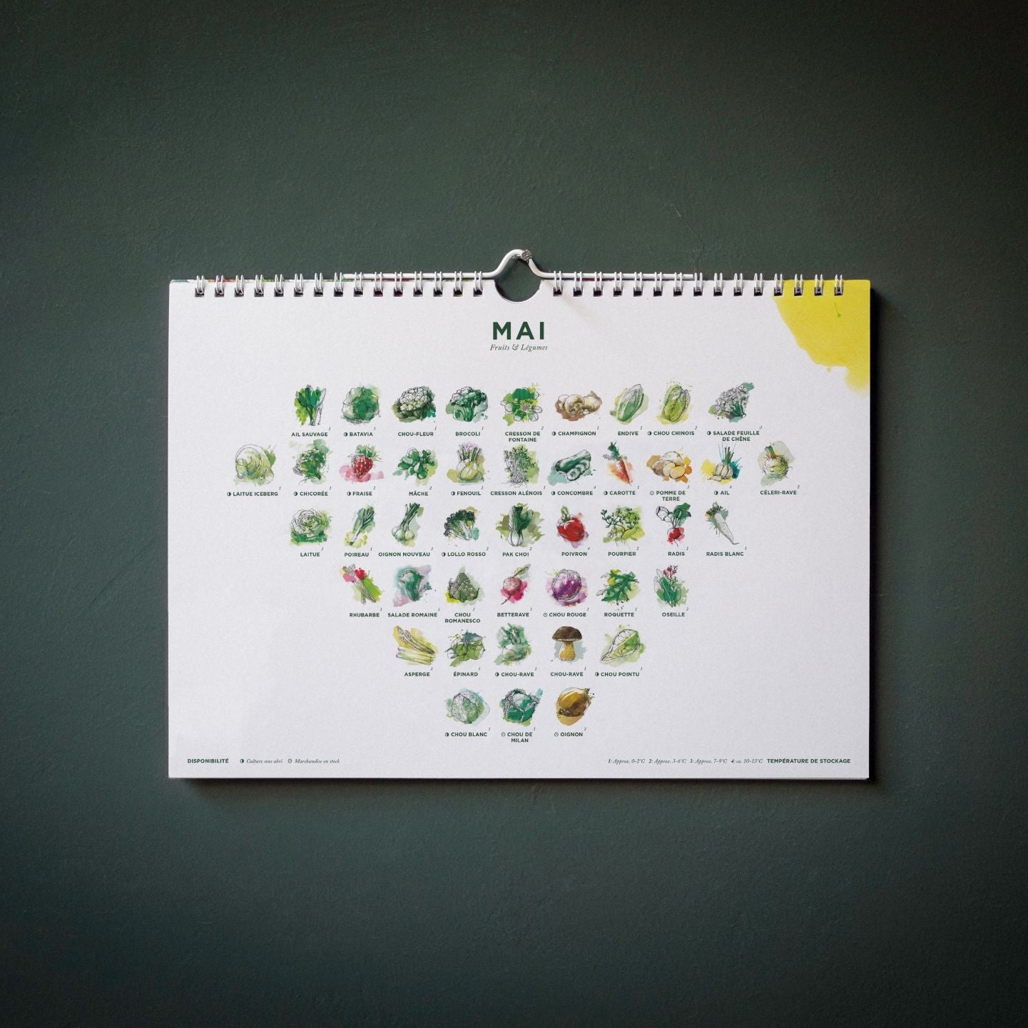 Calendrier de saison - fruits et légumes