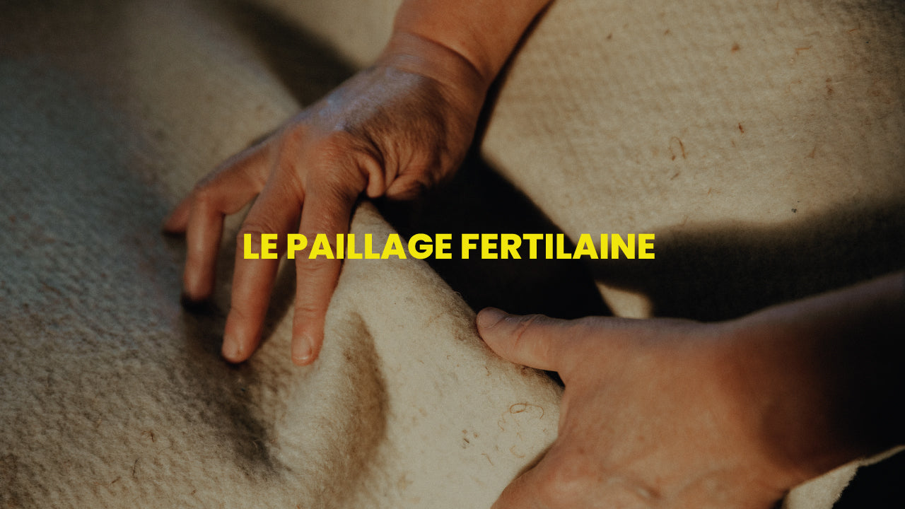 Charger la vidéo : 