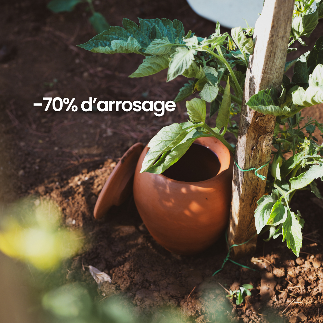 Olla à planter fertilaine® - Fabriquée en France 🇫🇷