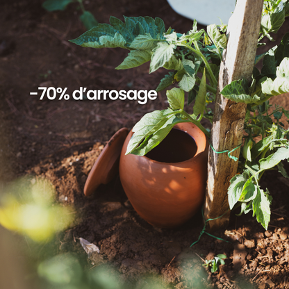 Olla à planter fertilaine® - Fabriquée en France 🇫🇷