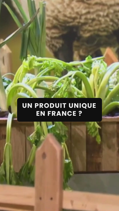 Echantillon fertilaine®