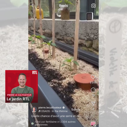 Étiquettes de jardin bois - x10