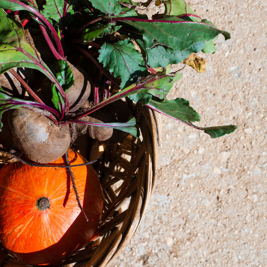 Pack Automne fertilaine®